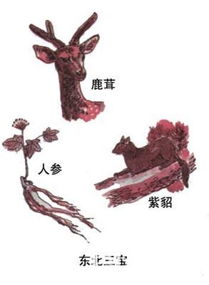 东北特产_东北三宝