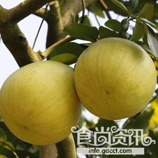 柚子的营养价值_柚子的功效与作用