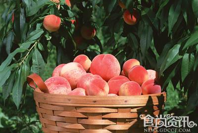 水蜜桃怎么保鲜_贮藏要点