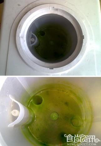 恐怖！饮水机里长满“绿毛藻” 可致癌致畸_饮水机清洗