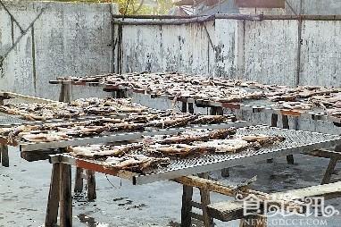 【饮食业内曝光】江门10家无牌作坊用工业盐腌制板鸭