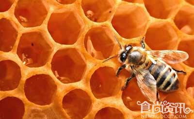 蜂蜜变毒药 不能喝蜂蜜的3种人