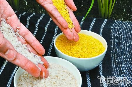 【黄金大米事件最新消息】美大学称继续查黄金大米试验 回避道歉