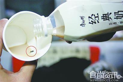 惊！康师傅经典奶茶竟然喝出死苍蝇 售后拒绝道歉
