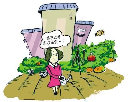 垃圾肥种菜？破药瓶废电池中长出来的菜你敢吃么？