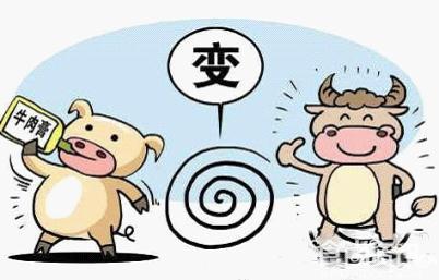 【牛肉精事件】曝小竹签烤肉有问题 DNA测20家14家烤牛肉是猪肉