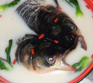 提高记忆力的食物大盘点 献“食”高考