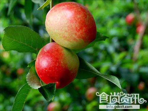 油桃的营养价值