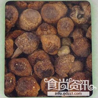 辨别毒蘑菇，民间传言逐个粉碎