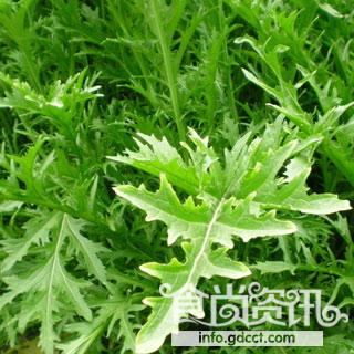 食用蔬菜的五大误区