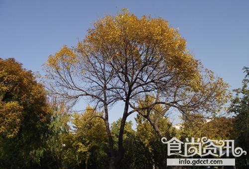 怎样才能在秋天少生病