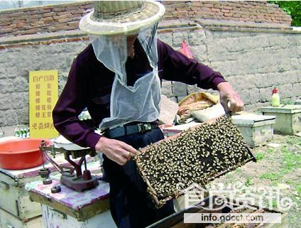 养蜂人与蜂蜜的故事_蜂蜜是怎么来的_有经验的养蜂人_美味故事