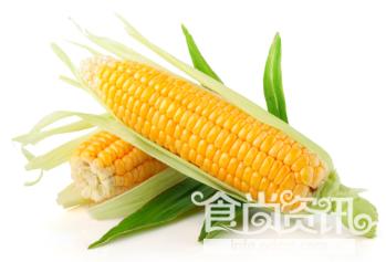 【转基因食品最新事件消息】法国转基因玉米致癌论引争议