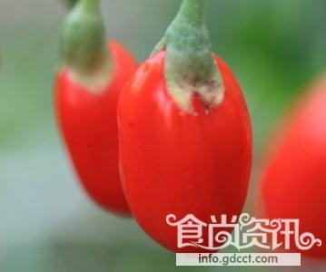“红宝”枸杞的由来