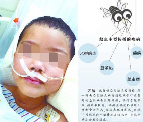 女孩遭蚊子叮咬昏迷近3个月 吃什么能防蚊子咬？