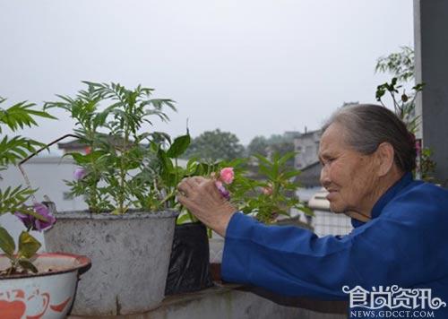 【老年人养生】湖南120岁寿星长寿的秘诀