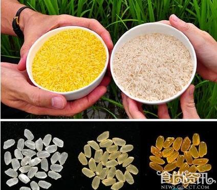 专家吃转基因米14年？转基因大米2000年才诞生