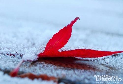 2013年霜降是什么时候？霜降时节如何养生？