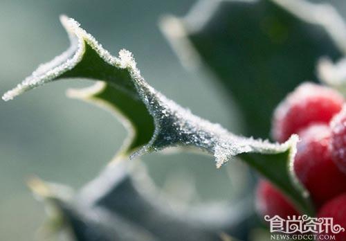 2013年霜降_霜降节气要吃什么好？