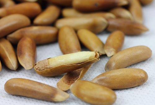 巴西松子的营养价值及食用功效