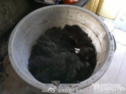 惊！理发店头发被收去做酱油