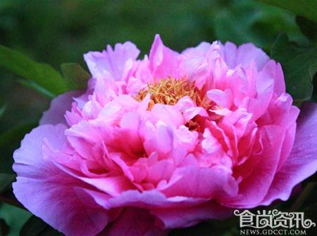 洛阳特色美食 尽在古都旅游攻略