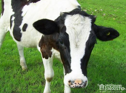 蒙牛受食品质量安全事件影响大 净利下滑