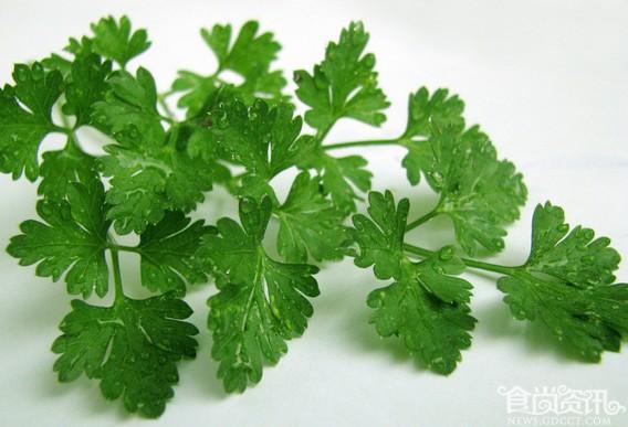 想吃芹菜炒肉 芹菜应如何选购？