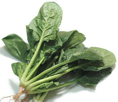 专家教您怎样挑选菠菜
