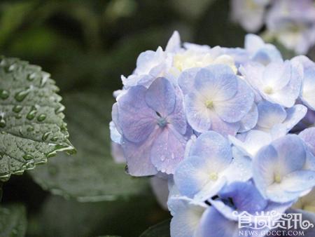 梅雨季节是几月份 梅雨季节如何养生