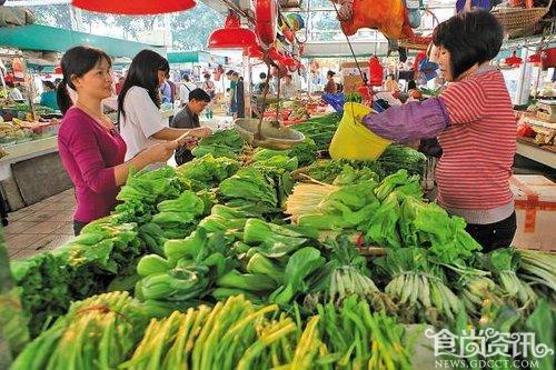 各地抱怨菜价上涨：小时吃肉是理想 长大了吃菜有困难