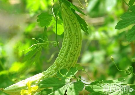 女人必选排毒养颜食材大汇集