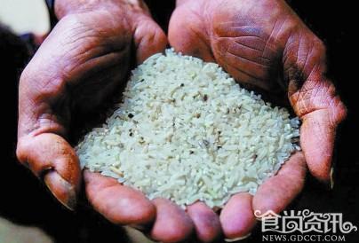 湖南毒大米产地遍布化工厂 农民取污水灌溉农田