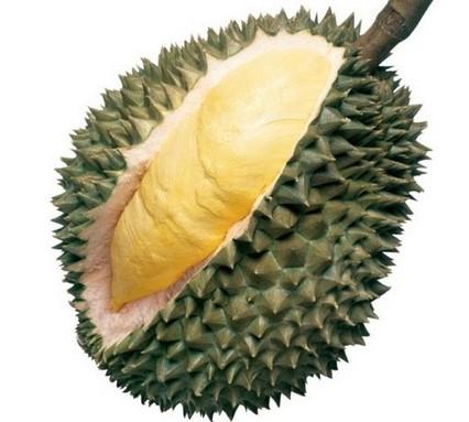 榴莲的核能吃吗？榴莲核的营养价值与功效