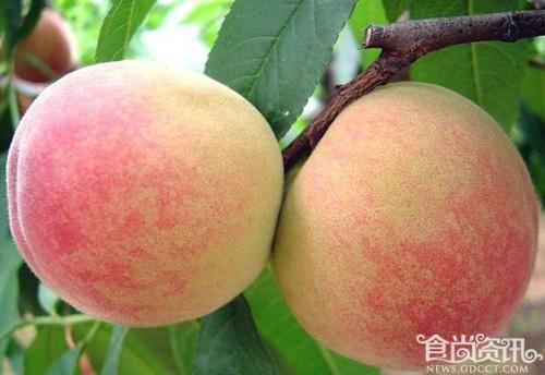 宁波有什么特产？奉化水蜜桃