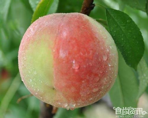 吃桃子削不削皮 洗桃子的3个方法