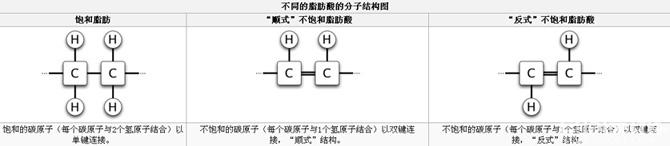 聚焦反式脂肪酸之一：反式脂肪酸是什么？从哪来？
