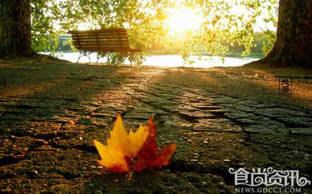 坐看云起时：处暑养生指南（上）