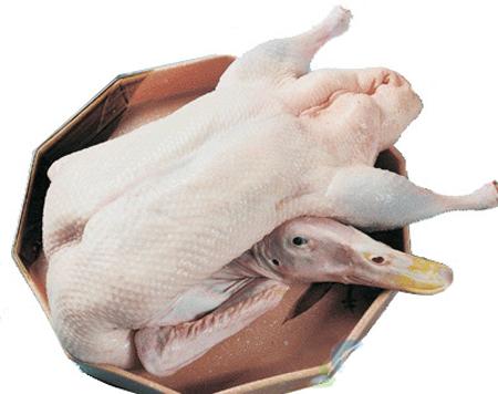 鸭肉的营养价值 鸭肉和什么相克