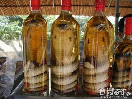 毒蛇泡酒，蛇酒有毒吗？活蛇能泡酒吗？