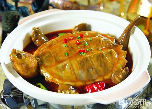 鳄鱼龟简介 鳄鱼龟又名"鳄龟"肉龟,世界最大的淡水龟之一,龟类中的