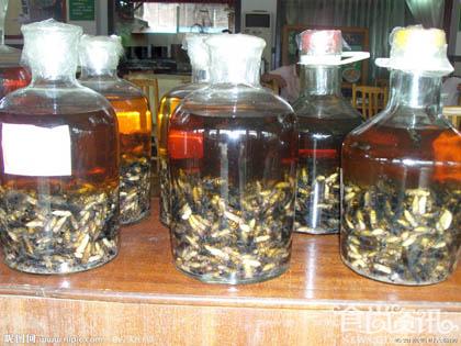养生也有终南捷径：蜂蛹泡酒的功效