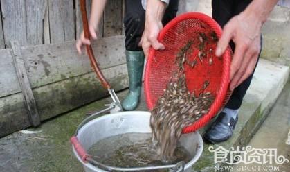 逆天了！广西有道特色菜“麻辣小蝌蚪”