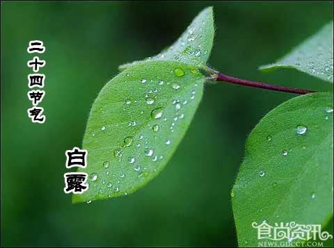 2013年白露是什么时候 白露节气吃什么？